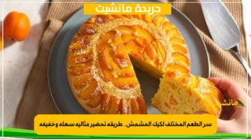 سر الطعم المختلف لكيك المشمش.. طريقة تحضير مثالية سهلة وخفيفة